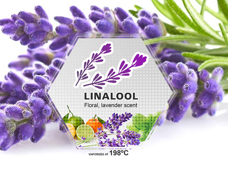 Linalool-terpenes-dutch-passion-lavender-limalool