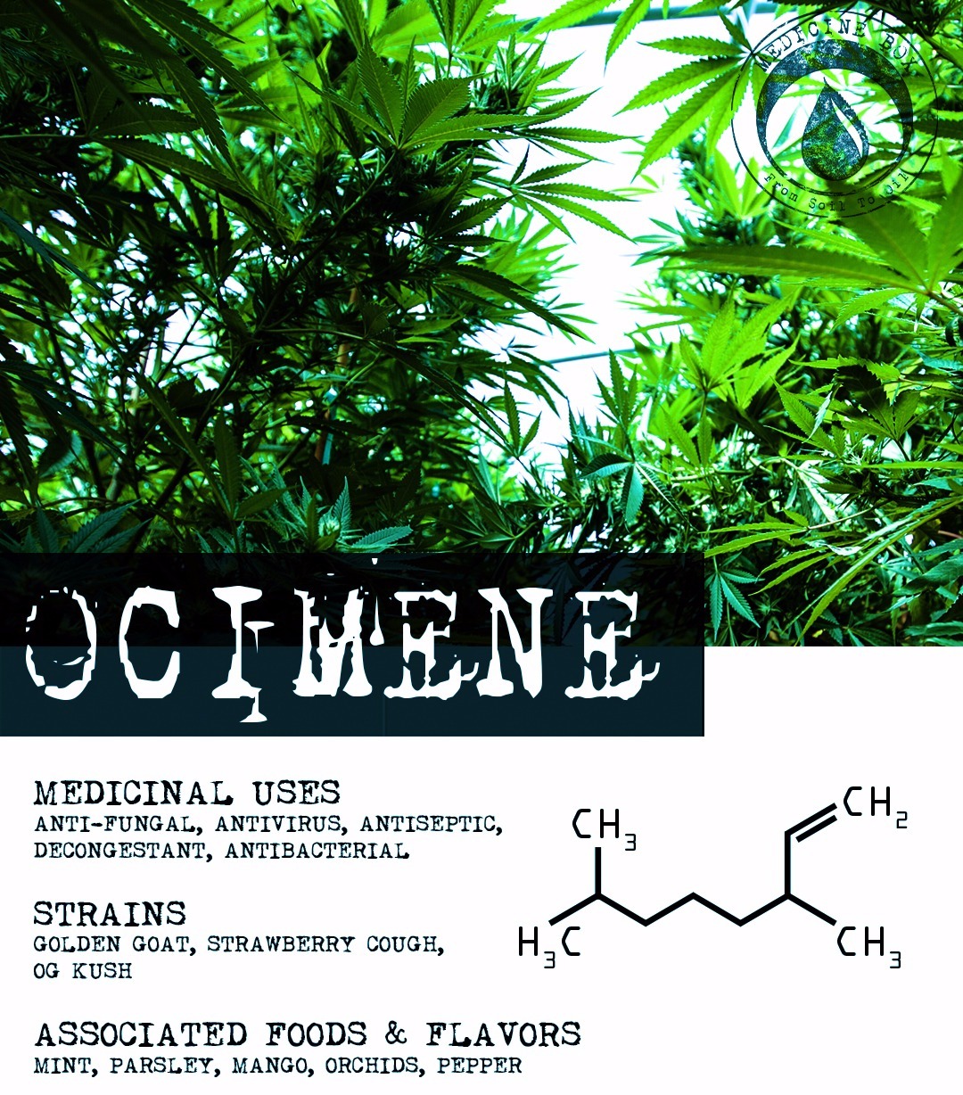 Terpene-Tuesday-from-Medicine-Box-Ocimene - Copy
