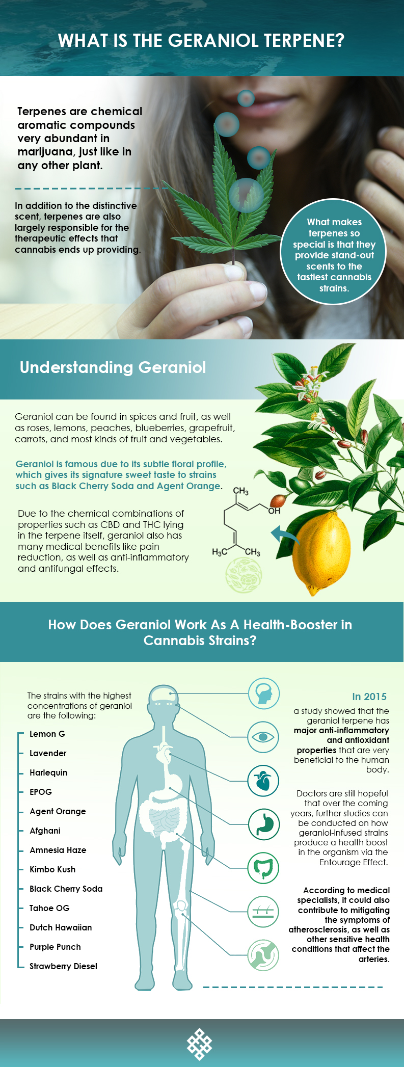 What-Is-The-Geraniol-Terpene