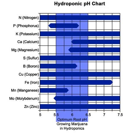 Inkedhydroponics-ph_LI